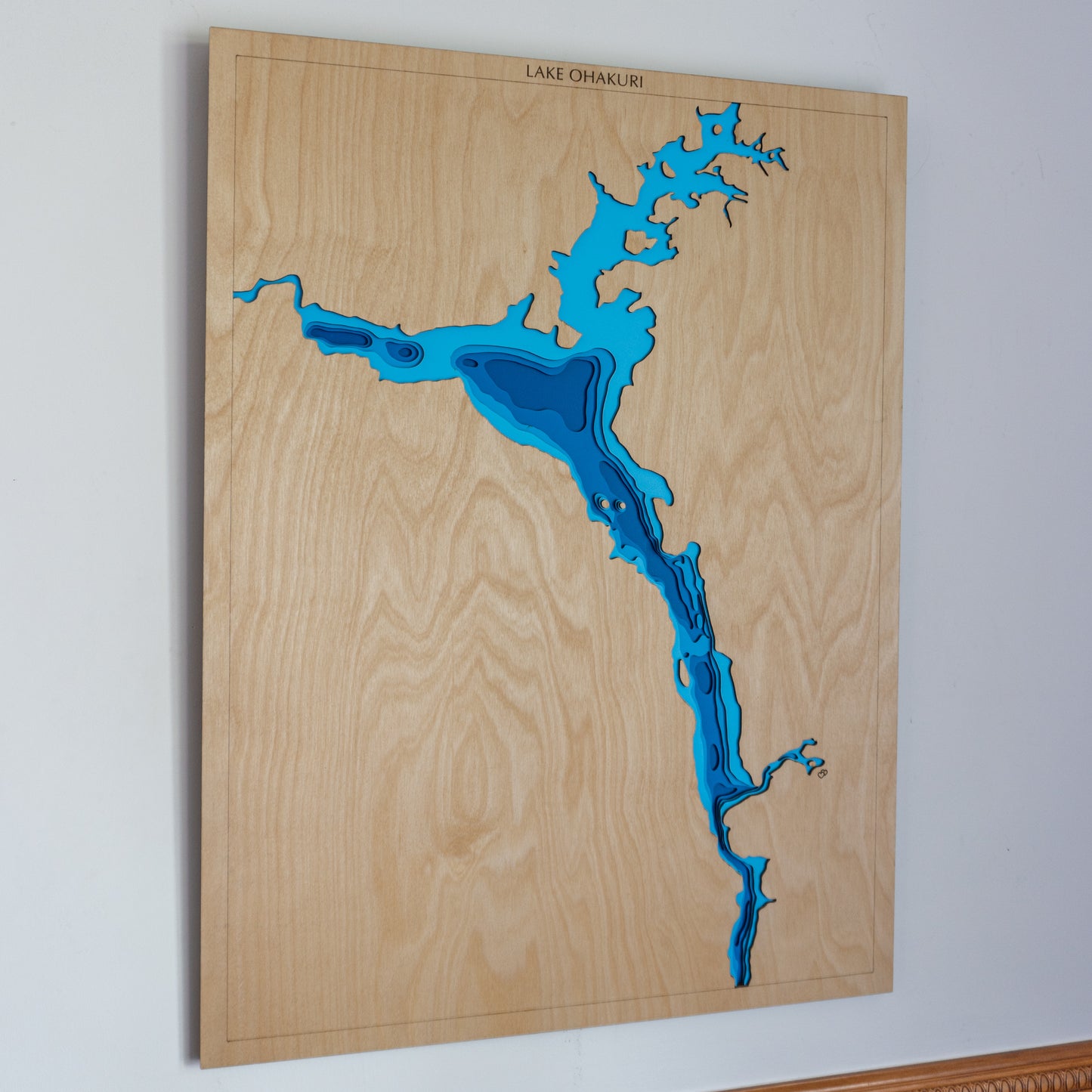 Lake Ohakuri - Tide's Out Maps