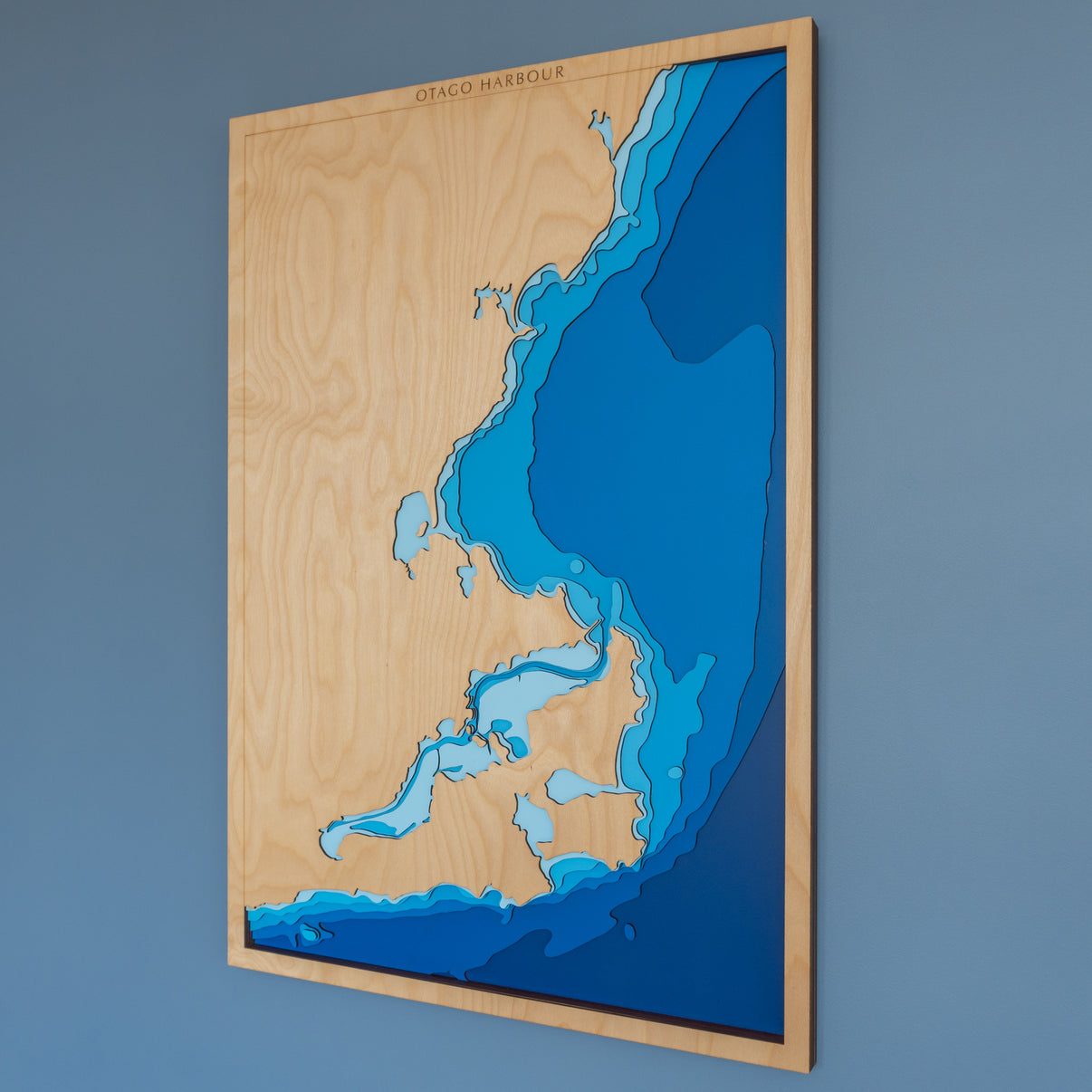 Otago Harbour New Zealand Large Tide #39 s Out Maps