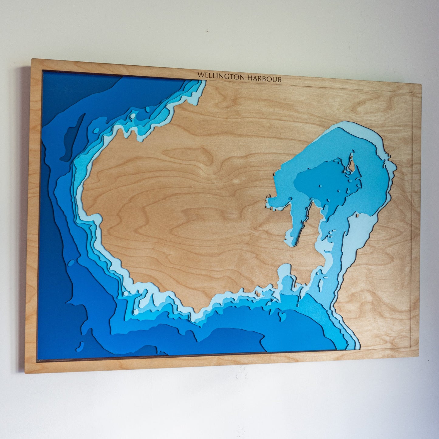 Wellington Harbour, New Zealand - Large - Tide's Out Maps